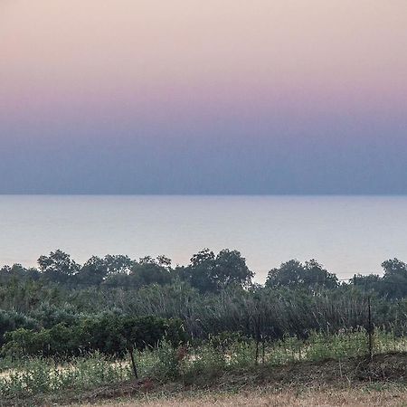 Villa Manoutsio Episkopi-Chania エクステリア 写真